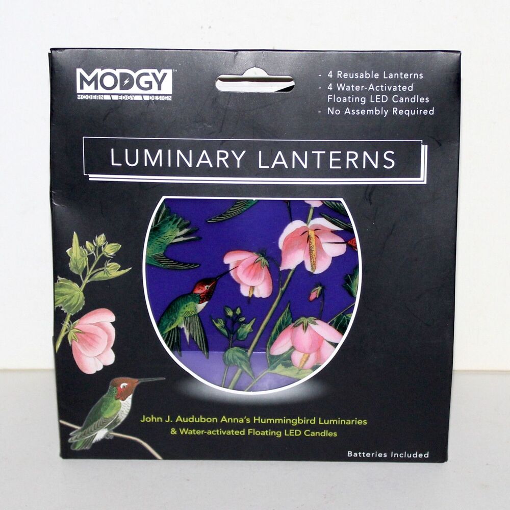 Modgy 4 Luminary Lantern Set John Audubon Anna's Hummingbird faux candle